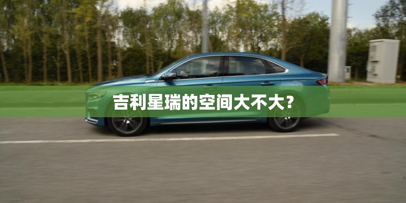 幼儿园中班植树节活动方案
