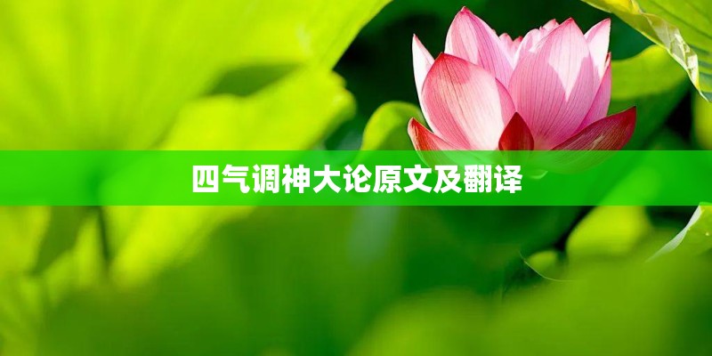 三月份适合去哪些国家旅游？
