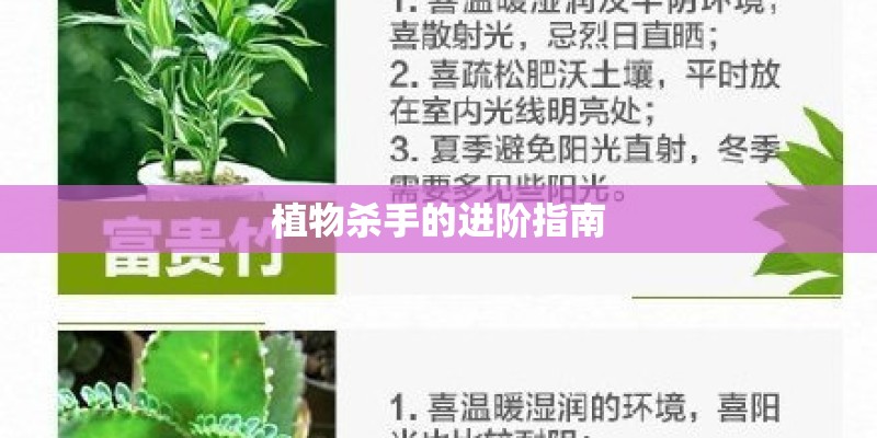 植物杀手的进阶指南