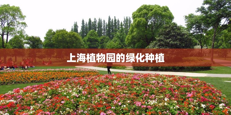 上海植物园的绿化种植