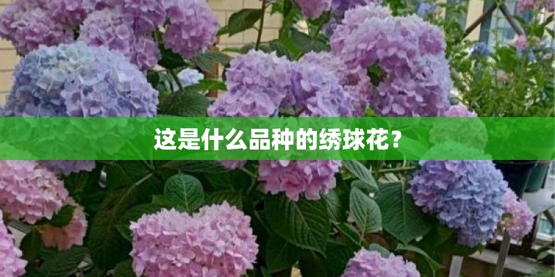 一生必读的世界名著