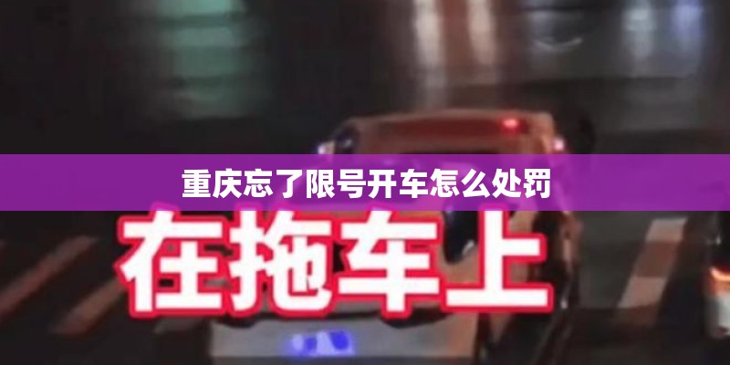 重庆忘了限号开车怎么处罚