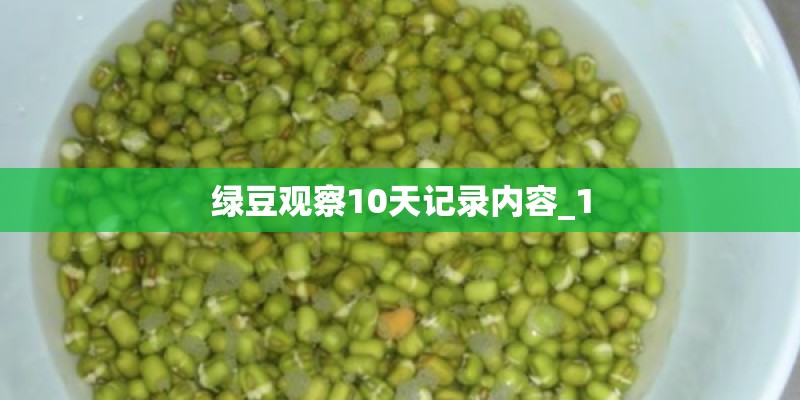 绿豆观察10天记录内容_1