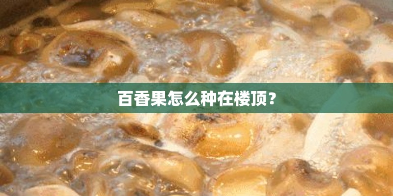 百香果怎么种在楼顶？