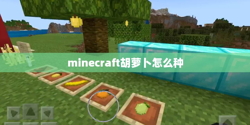 minecraft胡萝卜怎么种