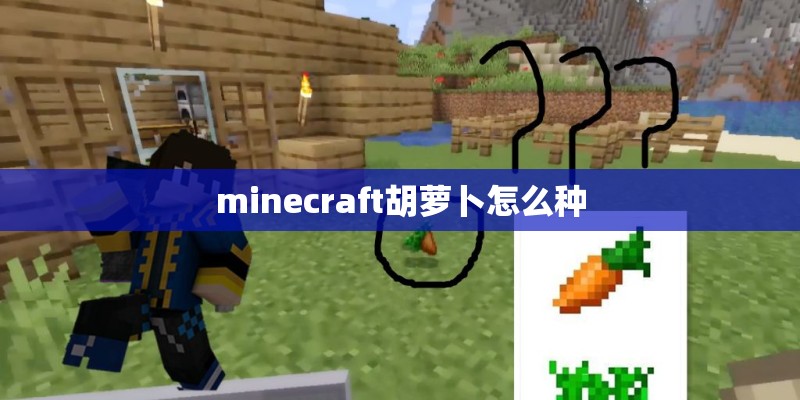 minecraft胡萝卜怎么种