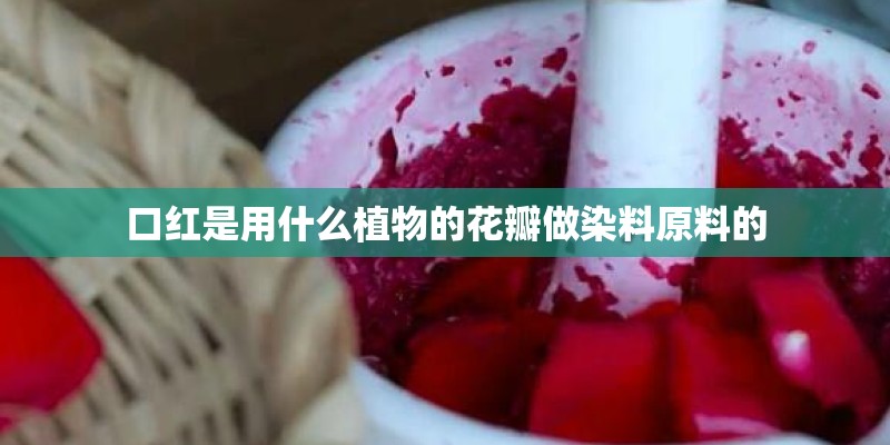 口红是用什么植物的花瓣做染料原料的