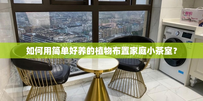 如何用简单好养的植物布置家庭小茶室？