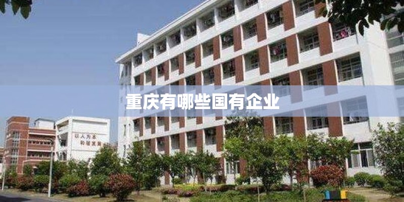 重庆有哪些国有企业