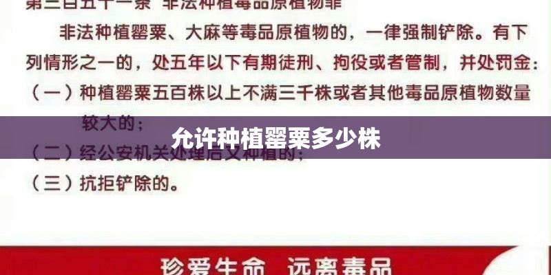 允许种植罂粟多少株
