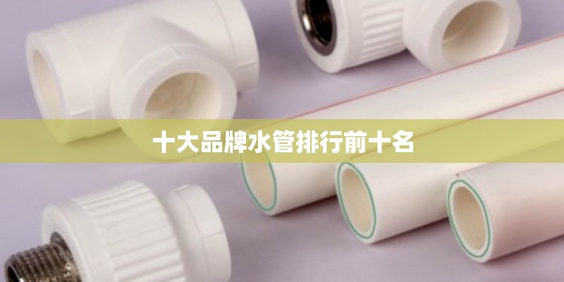 十大品牌水管排行前十名