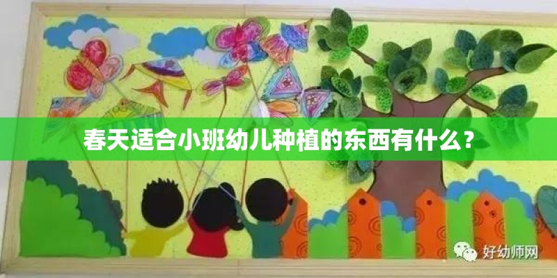 春天适合小班幼儿种植的东西有什么？