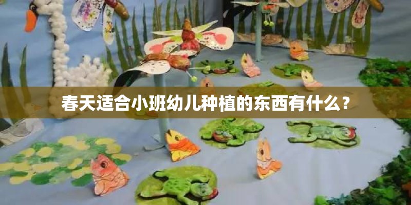 春天适合小班幼儿种植的东西有什么？