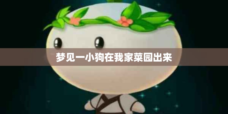 梦见一小狗在我家菜园出来
