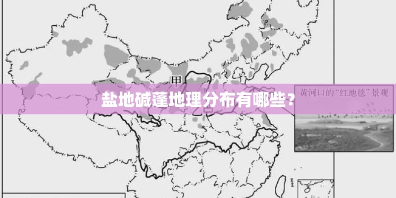 盐地碱蓬地理分布有哪些？