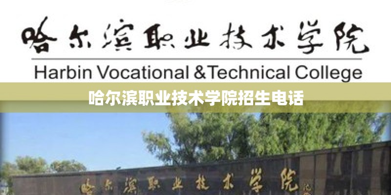 哈尔滨职业技术学院招生电话