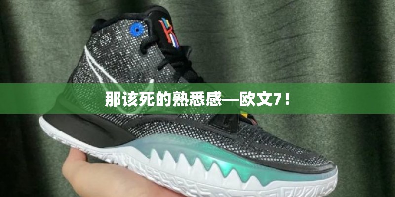 那该死的熟悉感—欧文7！
