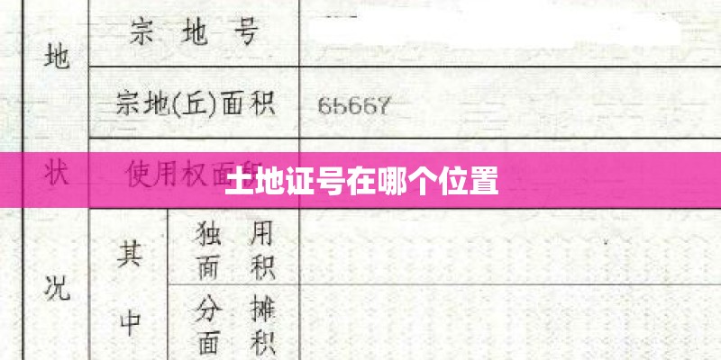 土地证号在哪个位置