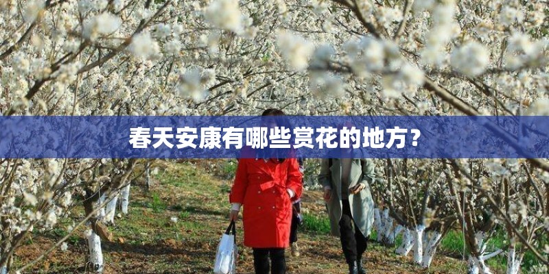 春天安康有哪些赏花的地方？